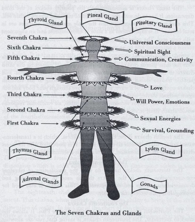 chakra system 